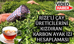 Adana'da Çay Karbon Ayak İzi Hesaplaması, Rize Çay Üreticilerini Kızdırdı