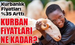Kurbanlık Fiyatlarına Rekor Zam! Güncel Büyükbaş ve Küçükbaş Kurbanlık Fiyatları!