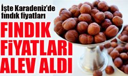 Fındık Fiyatları Tavan Yaptı! 2025 Mayıs’ında Rekor Seviyeler Görüldü
