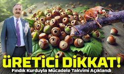 Fındık Kurduyla Mücadele Zamanı Başladı: Üreticiler Dikkat!