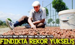 Fındıkta Rekor Yükseliş: İlk 4 Ayda 853 Milyon Dolarlık İhracat
