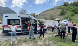 Artvinli Gazeteci Nurbay Usta Trafik Kazası Geçirdi: Ölümden Döndü