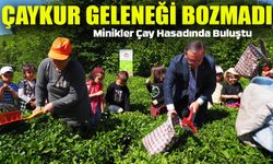 ÇAYKUR Geleneği Bozmadı: Minikler Çay Hasadında Buluştu