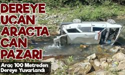 Kazıkbeli Yaylası’nda Dereye Uçan Araçta Can Pazarı: Sürücü Yaralandı