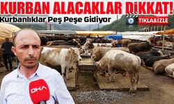 Trabzon’da Kurbanlıkların Yarısı Satıldı: Bayram Öncesi Pazarda Yoğunluk Artıyor
