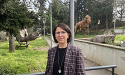 Ağır Su Kaynakları Ekonomiye Kazandırılmalı: Doğu Karadeniz’de Büyük Potansiyel