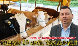 Prof. Dr. Gücükoğlu: Kurban İbadeti Sadece Kesim Değil, Halk Sağlığı Sorumluluğudur