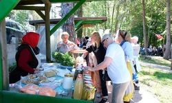 Samsun’da ‘Yöresel Ot Yemekleri Festivali’ başladı
