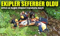 Rize'de Ağaç Keserken Yaralanan Yaşlı Adamı Ekipler Kurtardı