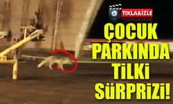 Artvin’de Çocuk Parkında Tilki Sürprizi!