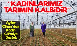 Tek Başına Dev Kadro: Ayşe Aktaş’a Dünya Çiftçiler Günü Ziyareti