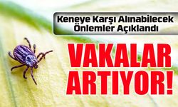Vakalar Artıyor! Keneye Karşı Alınabilecek Önlemler Açıklandı