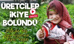 Açıklanan Yaş Çay Fiyatı Rizelileri İkiye Böldü: Kimi Memnun, Kimi Tepkili