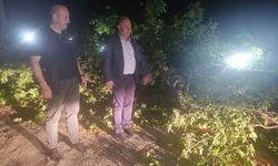 Arhavi Belediye Başkanı Ataselim, fırtına sonrası açıklama yaptı