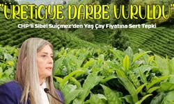 CHP’li Sibel Suiçmez’den Yaş Çay Fiyatına Sert Tepki: “Üreticiye Darbe Vuruldu”