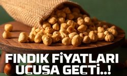 Fındıkta Büyük Sürpriz! Fiyatlar Tekrar Zamlandı! Güncel Fiyat Listesi...