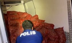 Kaçak midye taşıyan 2 kişiye toplam 88 bin lira ceza
