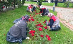 Ordu’nun dört bir yanı çiçek bahçesine dönüştürüldü