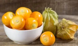 Altın Çilek Nedir? Faydaları, Besin Değerleri ve Tüketim Önerileri