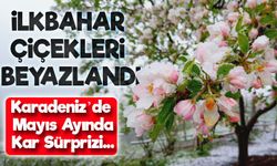 Artvin’de Mayıs Ayında Kar Sürprizi: Köy Beyaza Büründü