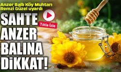 Sahte Anzer Balı Alarmı: Üretimin Bin Katı Kadar Sahte Bal Satılıyor