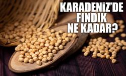 Fındık Fiyatları Zirveye Koşuyor! 200 TL Sınırı Gündemde