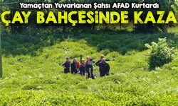 Rize’de Çay Bahçesinden Yuvarlanan Şahıs AFAD Ekiplerince Kurtarıldı