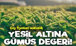Çayda 2025 Fiyatı Açıklandı: “Yeşil Altına, Gümüş Değeri”