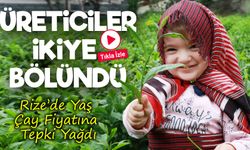 Açıklanan Yaş Çay Fiyatı Rizelileri İkiye Böldü: Kimi Memnun, Kimi Tepkili