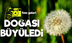 ‘Sakin Şehir’ Şavşat’tan Kartpostallık Yaz Manzaraları
