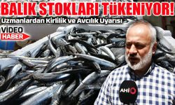 Karadeniz’de Balık Stokları Alarm Veriyor: Kirlilik ve Aşırı Avcılık Etkili