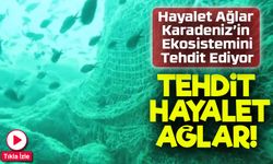 Karadeniz Alarm Veriyor: Hayalet Ağlar Ekosistemi Tehdit Ediyor
