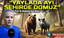 Prof. Dr. Şağdan Başkaya Uyardı: “Doğuda Ayı, Batıda Domuz İnsan Sağlığını Tehdit Ediyor”