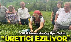 CHP Trabzon Milletvekili Suiçmez: “Çay Fiyatı Hemen Açıklanmalı, Üretici En Az 36 TL Bekliyor!”