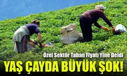 Yaş Çayda Büyük Şok! Özel Sektör Taban Fiyatı Yine Deldi