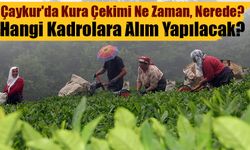 ÇAYKUR’da Geri Sayım Başladı! 1500 İşçi Alımı Başvuruları Bu Gece Sona Eriyor