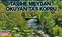 Şavşat’ta Orta Çağ’dan Kalan Taş Köprü Zamana Direniyor