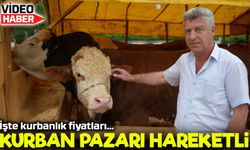 Kurban Pazarı Yüzleri Güldürdü: “Hayvanların Çoğunu Sattık”