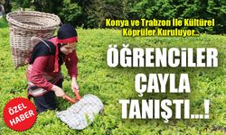 Konyalı Öğrenciler Of’ta Çayla Tanıştı: “Sanki Cennetten Bir Köşe!”