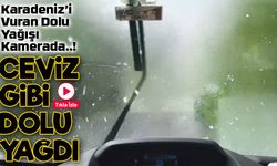 Artvin Şavşat'ta Dolu Yağışı Silecekleri Zorladı!
