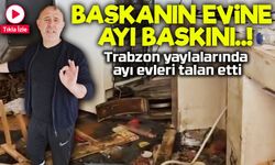 Ayılar Bu Kez Araklı Belediye Başkanının Yayla Evine Girdi