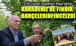 TZOB Genel Başkanı Bayraktar, Ordu, Giresun ve Trabzon'da Fındık Bahçelerini İnceledi