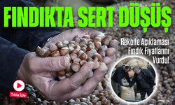 Rekolte Açıklaması Fındık Fiyatlarını Vurdu! Fiyat Birden 40 TL Geriledi!