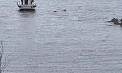 Emek Gününde Acı Son! Genç Aşçı Kendini Karadeniz’e Bıraktı