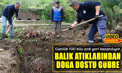 Giresun'da Örnek Çevre Projesi: Balık Atıklarından Doğa Dostu Gübre