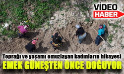 Karadeniz’de Emek Güneşten Önce Doğuyor!