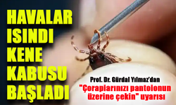 Havalar Isındı, Kene Kabusu Başladı