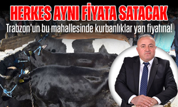 Trabzon’un Bu Mahallesinde Kurbanlık Fiyatları Yarı Yarıya Düştü! Herkes Aynı Fiyata Satacak