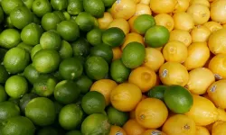 Nisan'da Fiyatlar Uçtu: Limon, Dijital Abonelik ve Elektrik Zirvede!