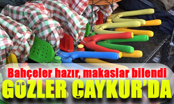 Çay Sezonu Başlıyor: Üreticiler Hazırlıklarını Tamamladı